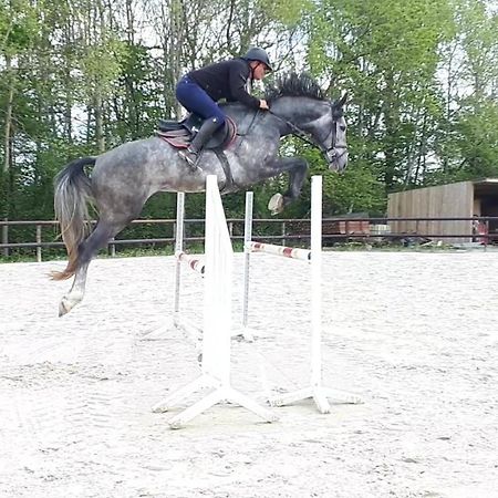 Gite Du Haras De Vales Moult Kültér fotó