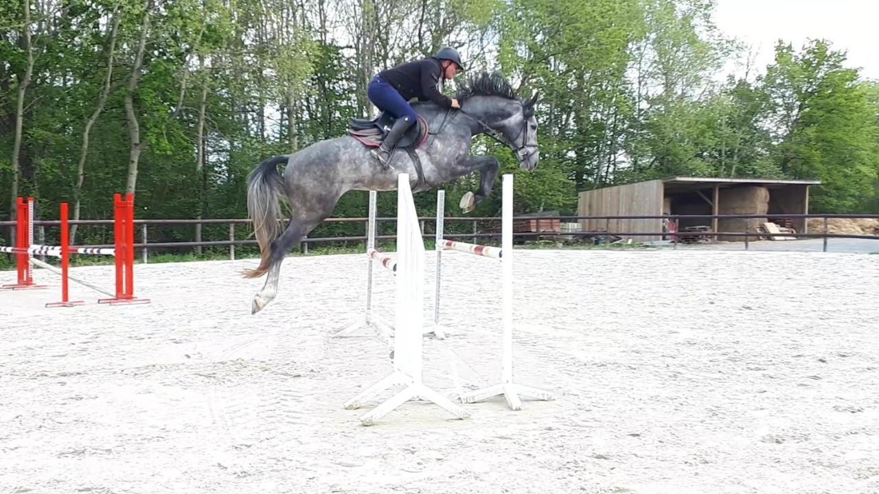 Gite Du Haras De Vales Moult Kültér fotó