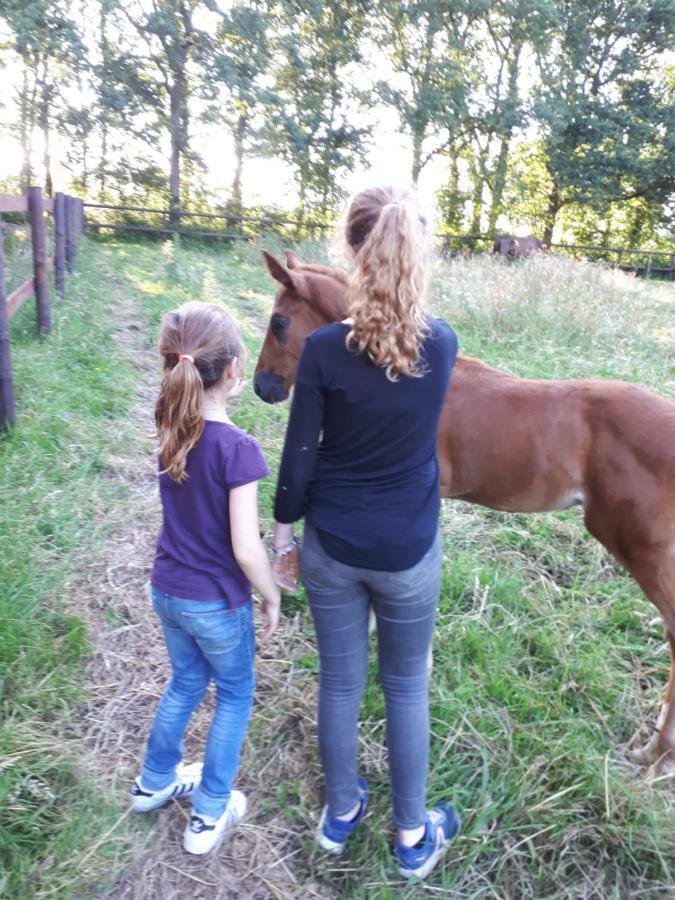 Gite Du Haras De Vales Moult Kültér fotó