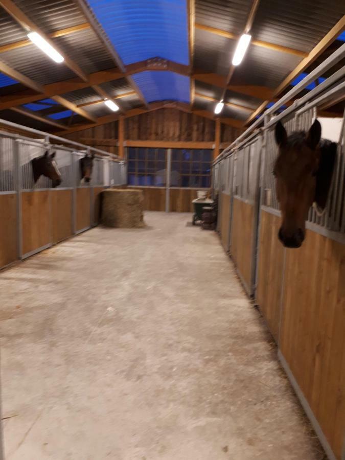 Gite Du Haras De Vales Moult Kültér fotó